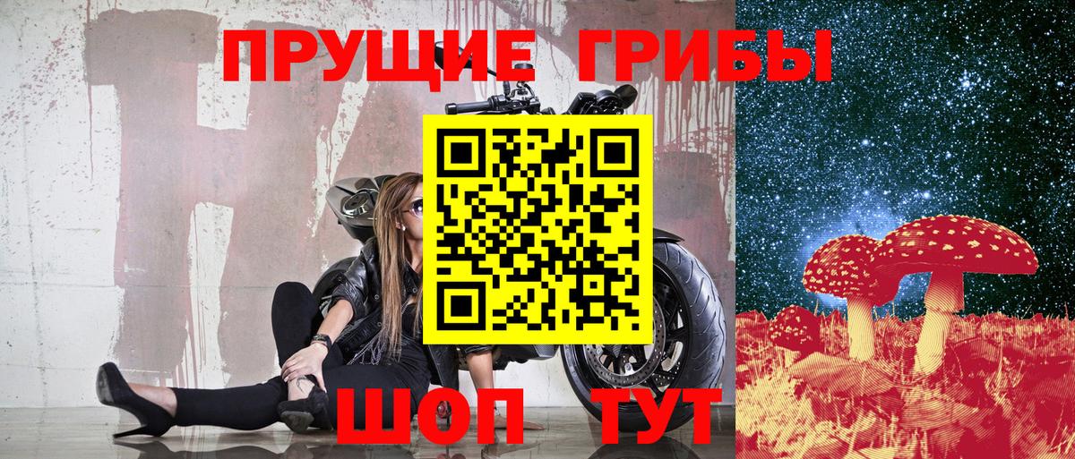 Галлюциногенные грибы Psilocybine cubensis Красный Сулин